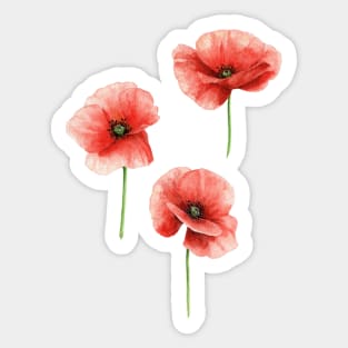 Red Poppies Pattern Sticker